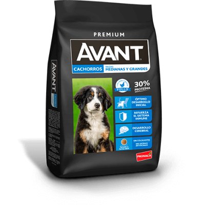 AVANT PERROS CACHORROS RAZAS MEDIANOS Y GRANDES