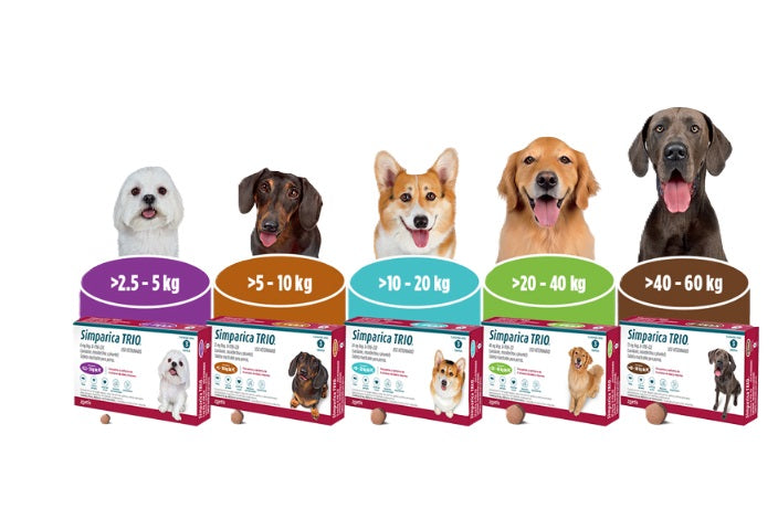 SIMPARICA "TRIO" PARA PERROS