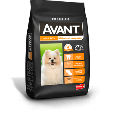 AVANT PERROS ADULTOS RAZAS MINIATURAS Y PEQUEÑAS