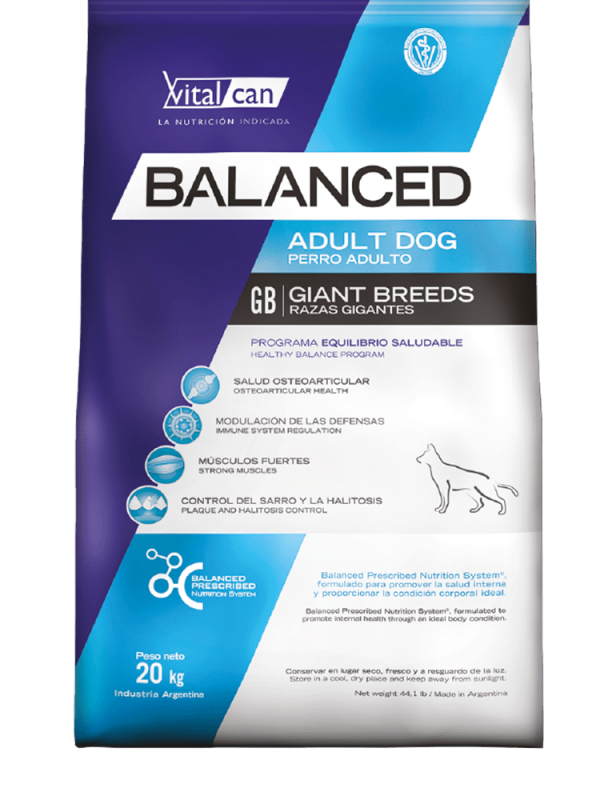 VITALCAN BALANCED PERRO ADULTO RAZA GIGANTE, perros adultos de 18meses a 7 años de edad.