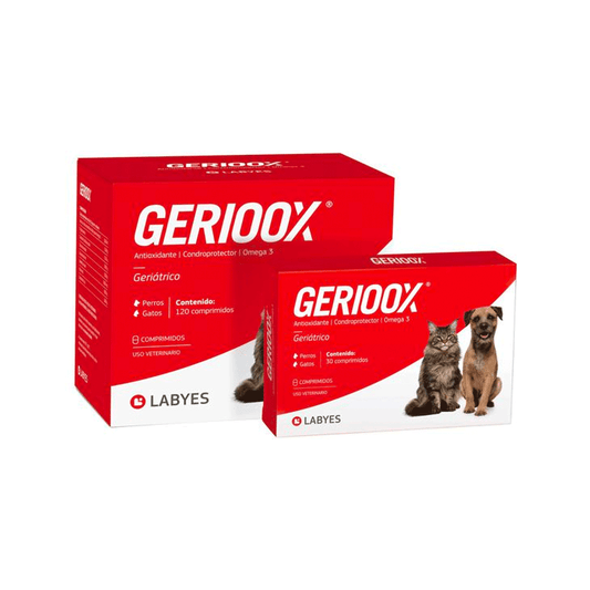 GERIOXX ANTIOXIDANTE OMEGA 3 GERIATRICO PERROS Y GATOS