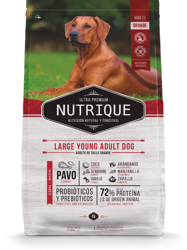 NUTRIQUE PERRO LARGE YOUNG, perro adulto de talla grande (15 meses a 6 años de edad)
