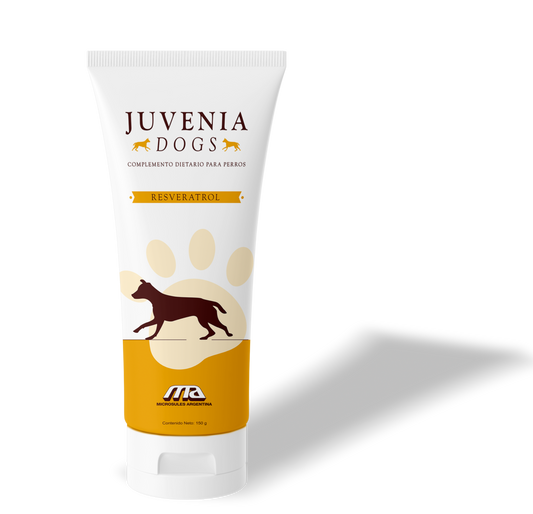 JUVENIA DOGS POMO 150GR